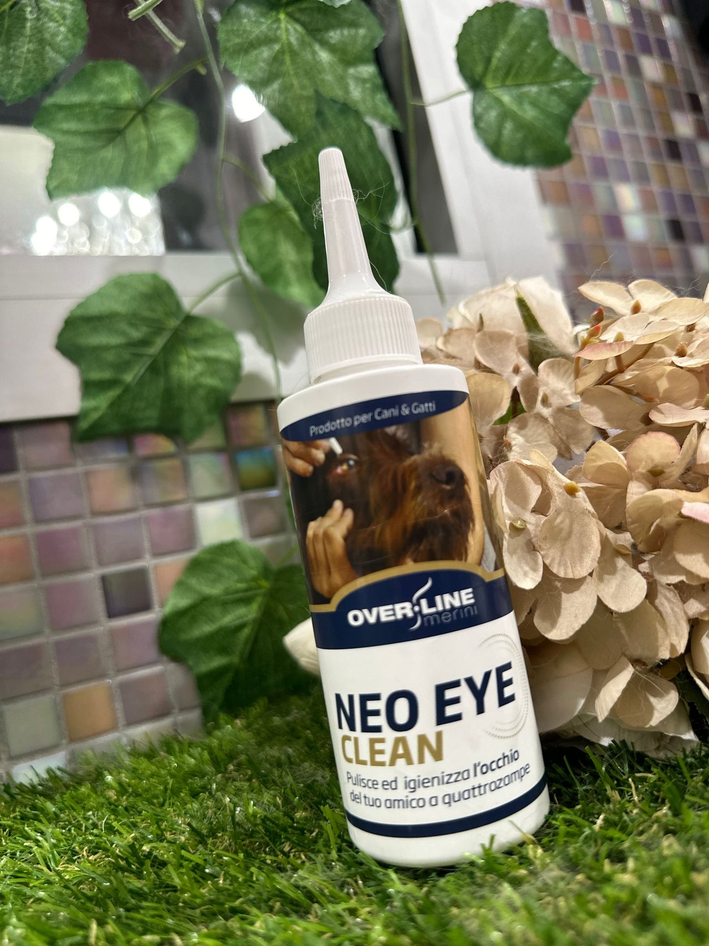 Neo eye Clean 100 ml